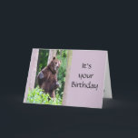 Funny Dancing Bear Birthday Animal Humor Kort<br><div class="desc">Det är din födelsedag och nu en dansbjörn. Roligt humor</div>