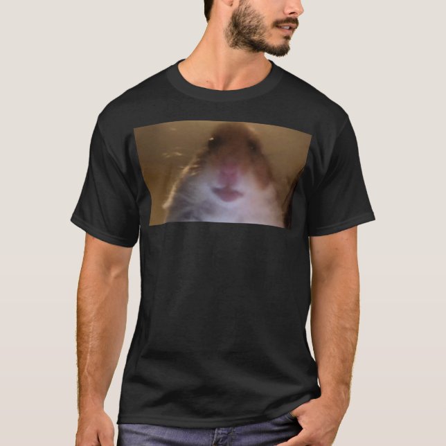 Funny Dank Meme Hamster Staring Front Camera Inter T Shirt (Framsida)