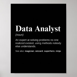 Funny definition för dataanalytiker poster