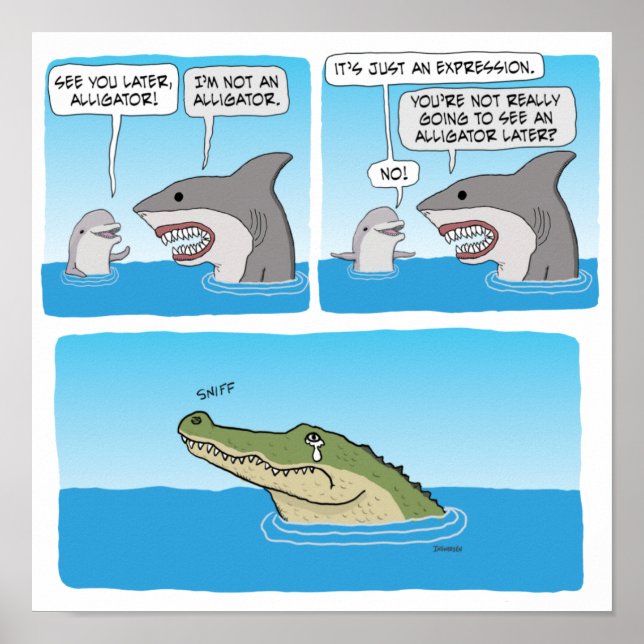 Funny delfin, haj och Ledsen Alligator Poster (Framsidan)