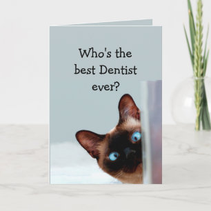 Funny Dentist Birthday Önskemål Siamese Cat Kort