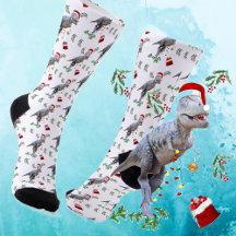 Funny Dinosaur-jul