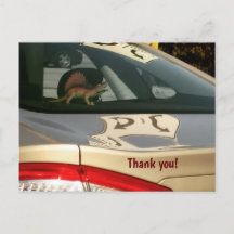 Funny Dinosaur Tack Postcard