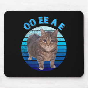 Funny Distress Oiia Cat Spinning Cat Oi Oi Uiaa Musmatta