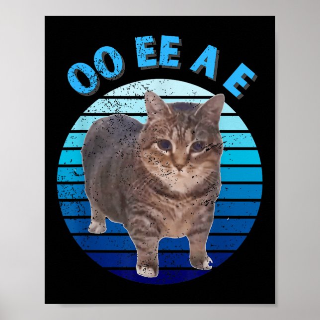 Funny Distress Oiia Cat Spinning Cat Oi Oi Uiaa Poster (Framsidan)