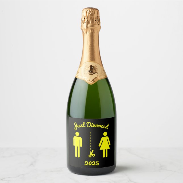 Funny Divorce Sympathy Party (Framsida)