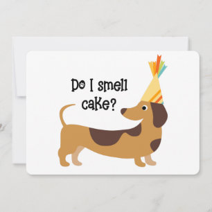 Funny Do I Smell Cake Birthday Hund Kort