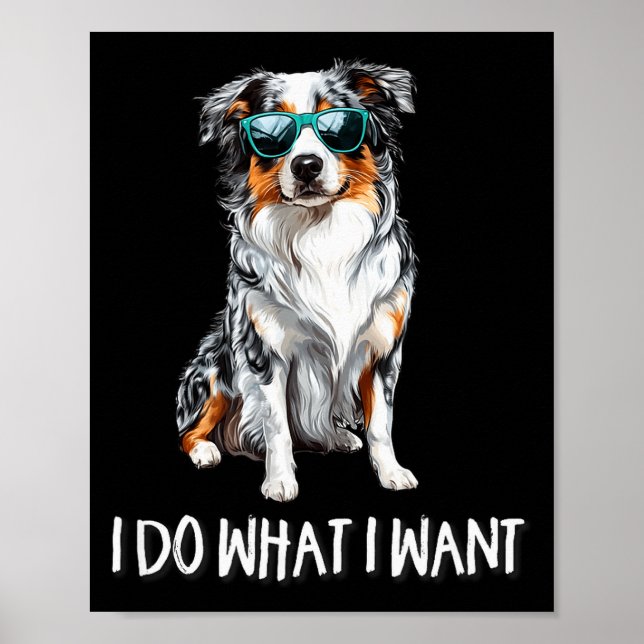 Funny Do What I Want Blue Merle Australian Shepher Poster (Framsidan)