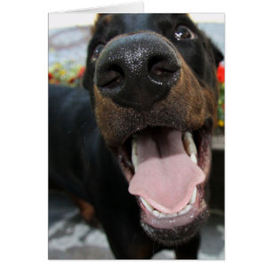 Funny Doberman Hälsningskort