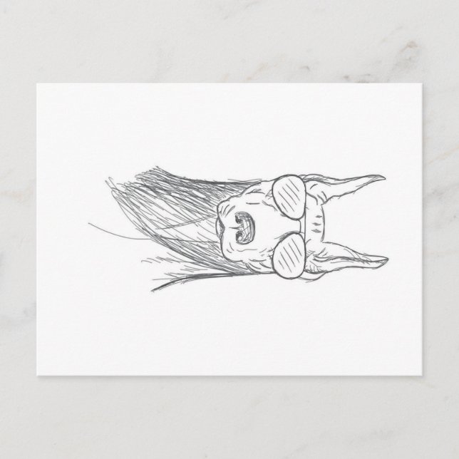 Funny Doberman Hund med solglasögon Helg Vykort (Framsida)