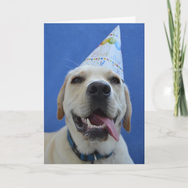 Funny Dog Birthday Card Kort (Framsida)