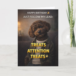 Funny Dog Birthday Card Treats Attention Cockapoo Kort