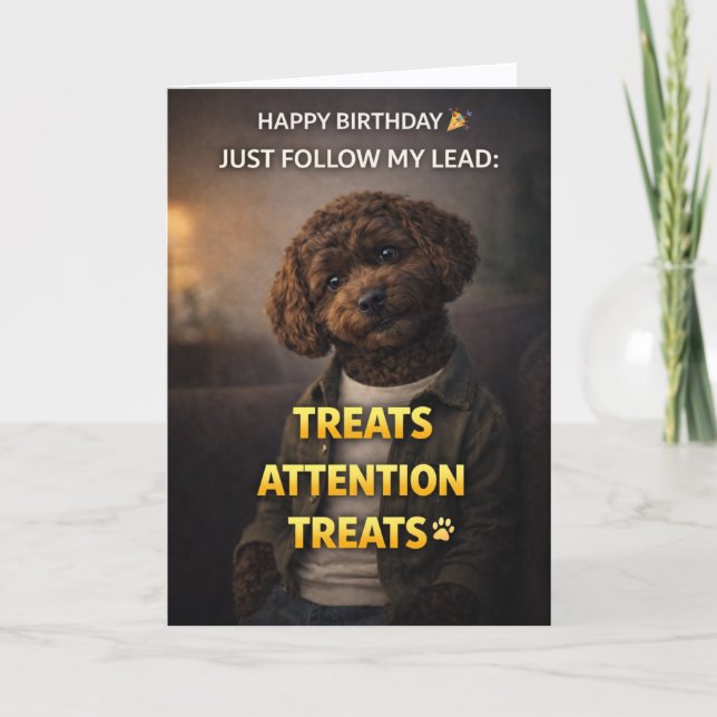 Funny Dog Birthday Card Treats Attention Cockapoo Kort (Framsida)