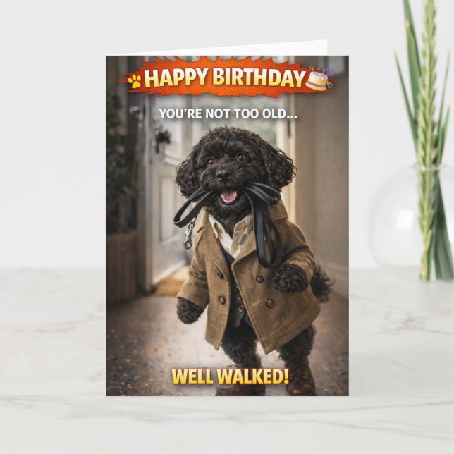 Funny Dog Birthday Card Well Walked Cockapoo Kort (Framsida)