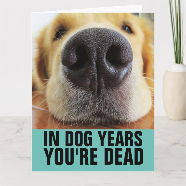FUNNY DOG BIRTHDAY DOG GREETING CARDS KORT (Framsida)