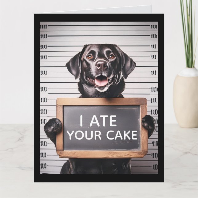 FUNNY DOG BRTHDAY MUGSHOT GREETING CARD KORT (Framsida)