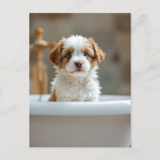 Funny dog in bathroom vykort