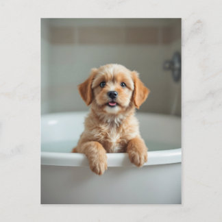 Funny dog in bathroom vykort