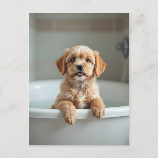 Funny dog in bathroom vykort (Framsida)