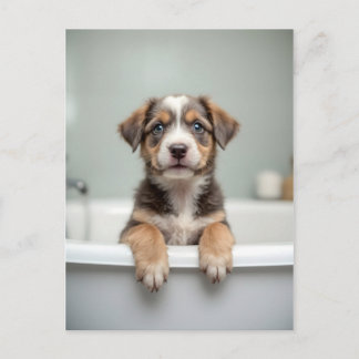 Funny dog in bathroom vykort