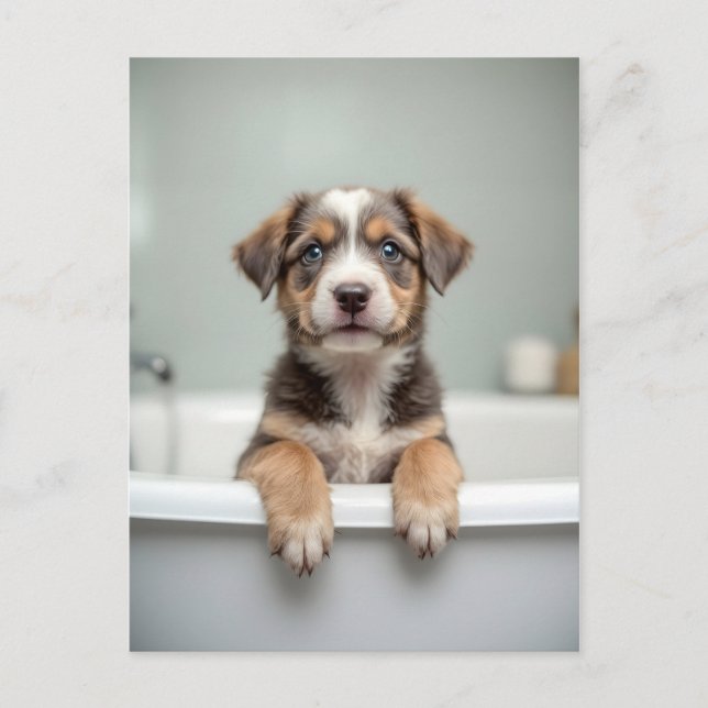 Funny dog in bathroom vykort (Framsida)