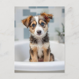 Funny dog in bathroom vykort