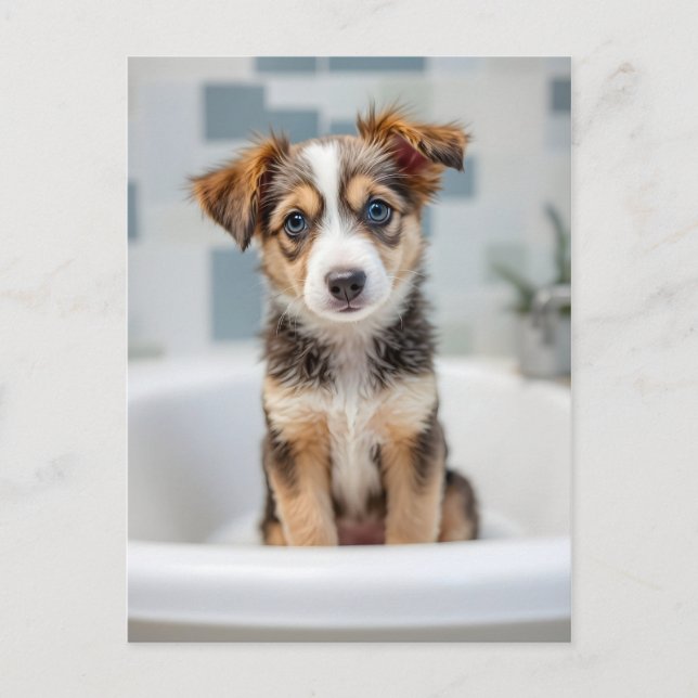 Funny dog in bathroom vykort (Framsida)