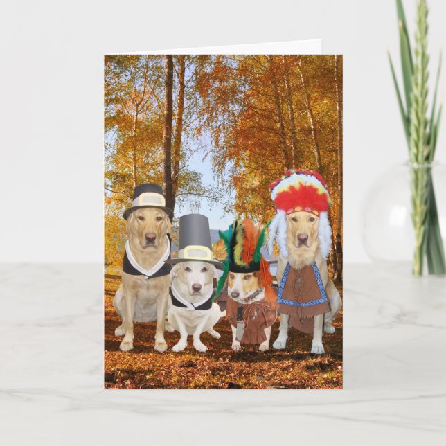 Funny Dog/Lab/Hound Pilgrims and Indians Helgkort (Framsida)