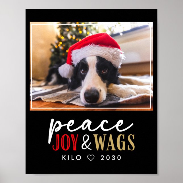 Funny Dog Lover Christmas Photo Cute D  Poster (Framsidan)