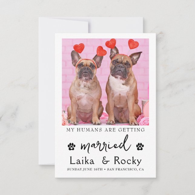 Funny Dog Wedding Invitation Spara Datumet (Framsida)