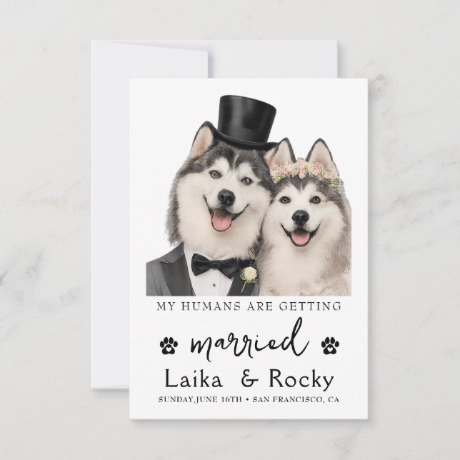 Funny Dog Wedding Invitation Spara Datumet (Framsida)
