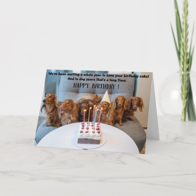 Funny Dogs Birthday Greeting Card  Kort (Framsida)
