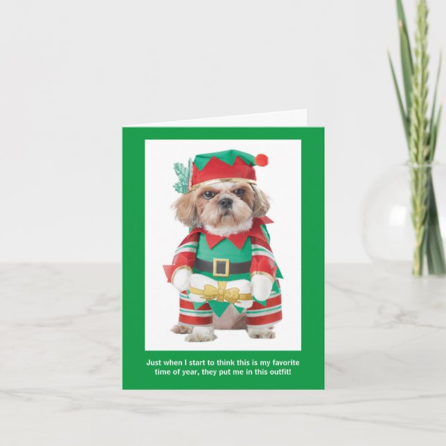 Funny Dog's Favorite Time of Year Jul Card Helgkort (Framsida)