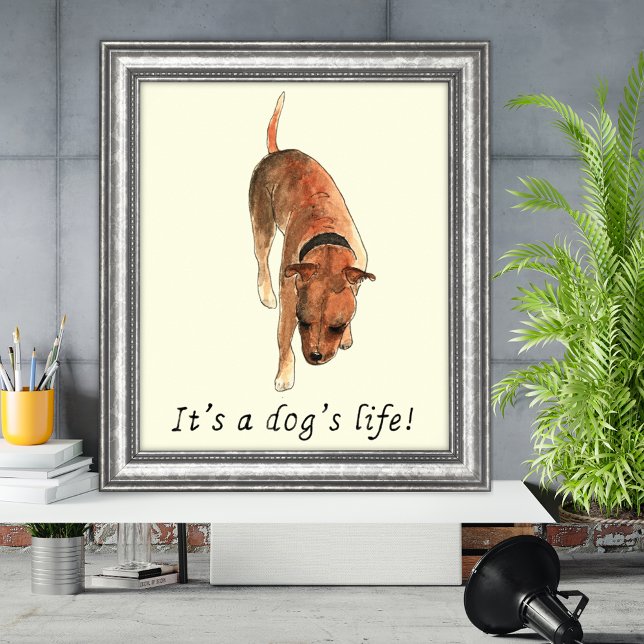 Funny Dogs Life Stafford Bull Terrier Art Poster (Its a dogs life quote and watercolor Staffordshire bull terrier poster)