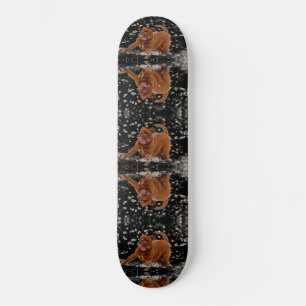 Funny Dogs Mini Skateboard Bräda 18,5 Cm