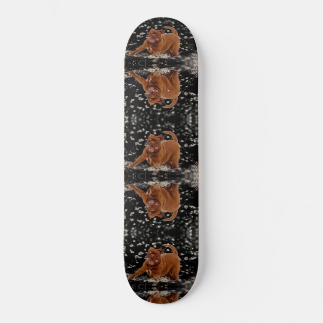 Funny Dogs Mini Skateboard Bräda 18,5 Cm (Framsida)