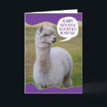 Funny Dolly Llama Birthday Wisdom Kort<br><div class="desc">Precis som Dalai Lama har denna Dolly Llama sin egen filosofi om livet och ord av visdom som hon vill  med världen. Hon är inte bara smart,  hon är också söt. Roligtens födelsedagskort för alla som inte är upphetsade över att bli äldre.</div>