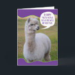 Funny Dolly Llama Birthday Wisdom Kort<br><div class="desc">Precis som Dalai Lama har denna Dolly Llama sin egen filosofi om livet och ord av visdom som hon vill  med världen. Hon är inte bara smart,  hon är också söt. Roligtens födelsedagskort för alla som inte är upphetsade över att bli äldre.</div>