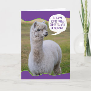 Funny Dolly Llama Birthday Wisdom Kort
