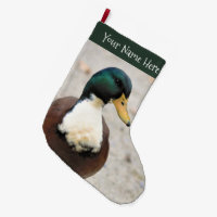 Funny Domestic Mallard Duclair Bibbed Odd Anka