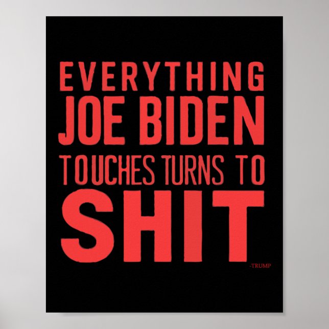 Funny Donald Trump 2024 Allt Joe Biden Touch Poster (Framsidan)