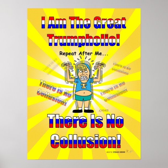 Funny Donald Trump Den Underbara Trumpholio Poster (Framsidan)
