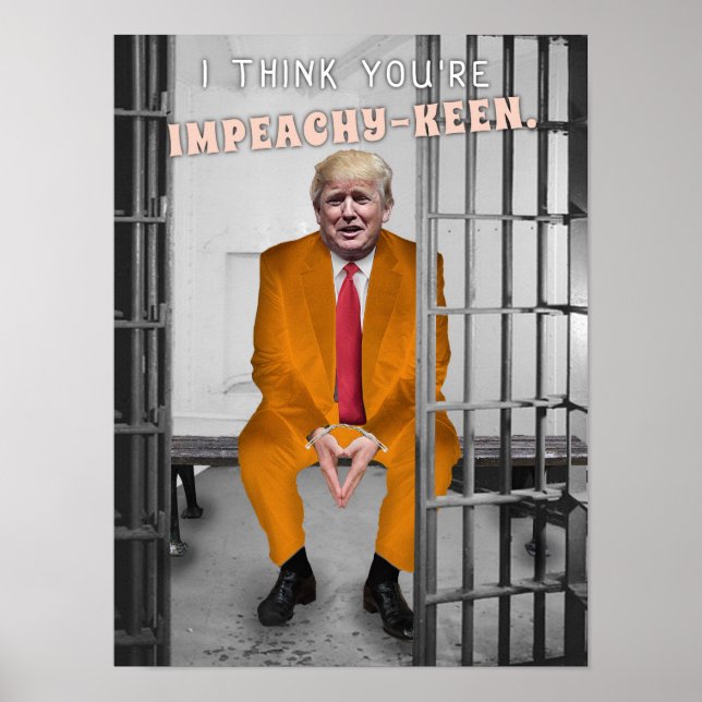 Funny Donald Trump Impeachment Prison Humor Poster (Framsidan)