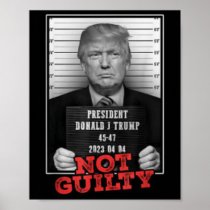 Funny Donald Trump Not Guilty Mugg Shot, gratis Poster