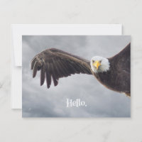 Funny Eagle Hej Tillfällen Blank
