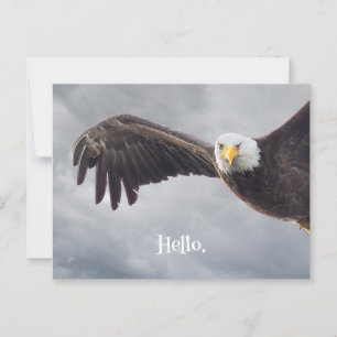 Funny Eagle Hej Tillfällen Blank Vykort