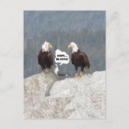 Funny Eagles och Fiskmås Vykort