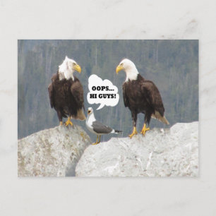 Funny Eagles och Fiskmås Vykort