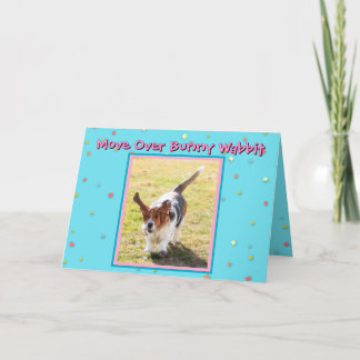 Funny Easter Basset Hound on Easter Card Helgkort