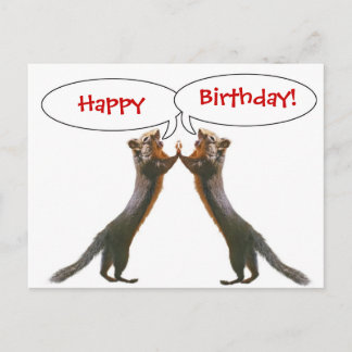 Funny ekorre Birthday Postcard Vykort